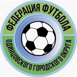 Odintsovo District Championship