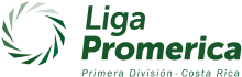 Primera Division