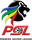 Premier Soccer League