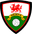 North East Wales Football League