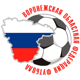 Voronezh Oblast Super Cup