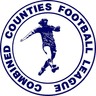 Combined Counties League - Premier Division South