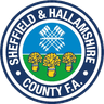 Sheffield & Hallamshire Senior Cup