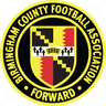 Birmingham Senior Cup