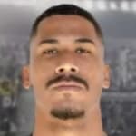 Wellington Luiz de Oliveira Santana