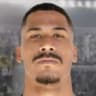 Wellington Luiz de Oliveira Santana
