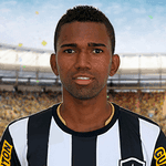 Alcides  de Souza Faria Junior
