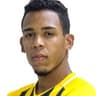 Pedro Vitor Ferreira da Silva
