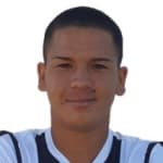 Cesar Araujo Vilches
