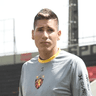 Flavio Henrique Ferreira dos Santos Junior