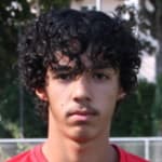 Amir Emin Arlı