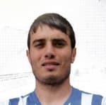 Ştefan Efros