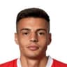 Kenan Fatkić