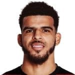 Dominic Solanke Mitchell