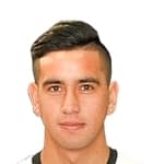 Andres Vilches Araneda