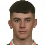 Aaron Nigel Bolger