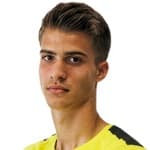 Vice Miljanic