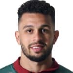Wellington Nem