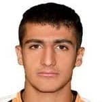 Mehdi Tikdarinejad