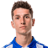 Tarik Ibrahimagic