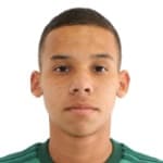 Gustavo García dos Santos