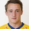 S. Suljevic