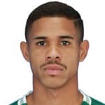 Flávio Henrique Sousa