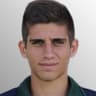 N. Stefanelli