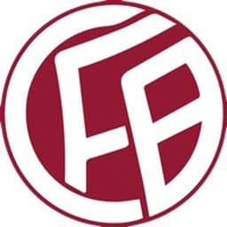 1. FC 08 Birkenfeld