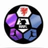 North Wales Woman's league 23/24 east 
