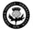 Partick Thistle W