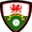 NEWFA Mens senior challenge cup