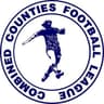 Combined Counties League - Division One