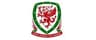 Mid Wales League East