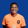 Shanice van de Sanden