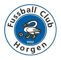 FC Horgen