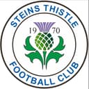 Steins Thistle
