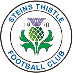 Steins Thistle