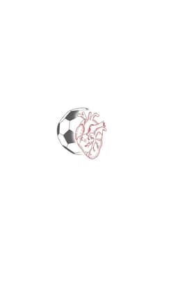 VIVA EL FÚTBOL