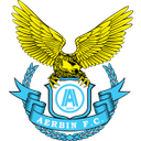 Dalian Aerbin