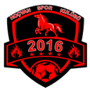 Hoçvan Spor