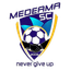 Medeama