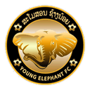 Young Elephant