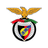 Penya Encarnada