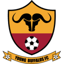 Young Buffaloes