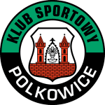 Górnik Polkowice