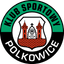 Górnik Polkowice