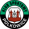 Górnik Polkowice