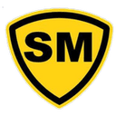 Stade Montois