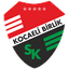Kocaeli Birlikspor